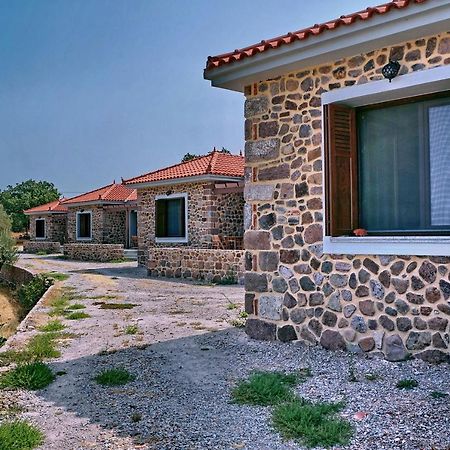 Ktima Kiourelioti Villa Skala Sykamineas Exteriör bild