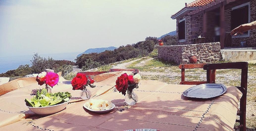 Ktima Kiourelioti Villa Skala Sykamineas Exteriör bild